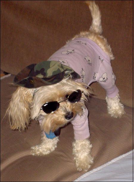 Cool dude!