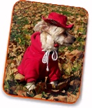 Beautiful autumn days!