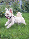 Action shot!