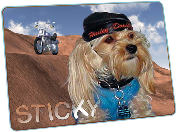 Sticky